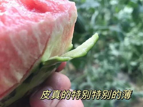 黑料吃瓜网apk普通安装 